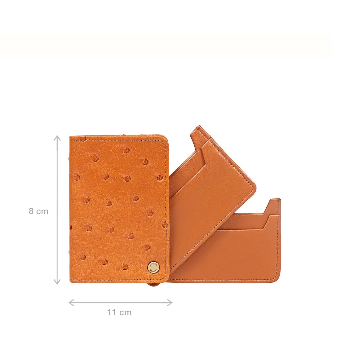 EDA W4 CARD HOLDER