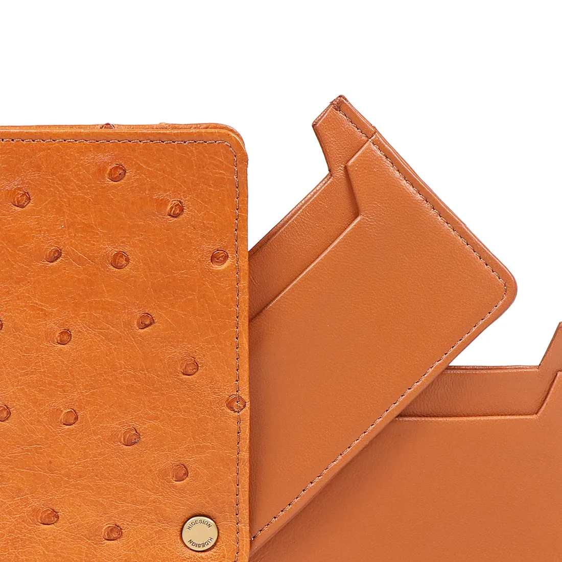 EDA W4 CARD HOLDER