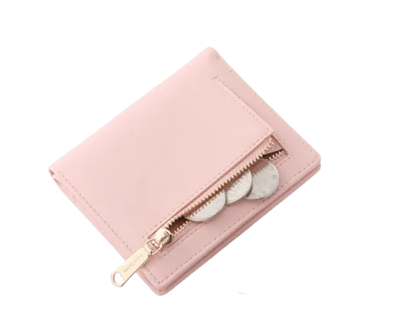 Small wallet Carteira